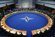 Действенное сотрудничество НАТО и ЕС