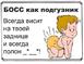 Офисная жесть