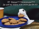 Я белый и пушистый