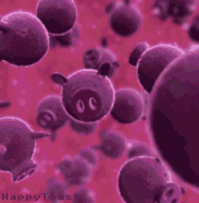 Свиной грипп под микроскопом