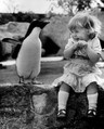 Девочка и пингвин