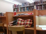 Тишина в библиотеке