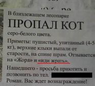 Особые приметы