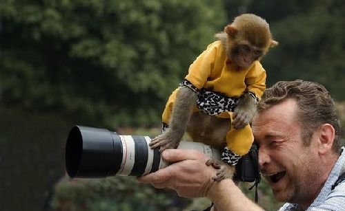 Ты сними, сними меня, фотограф!