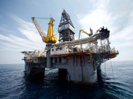 "Роснефть" выбрала себе российских партнеров