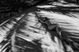 Моя девушка Аврора под пальмой в Канкуне ( Мексика)