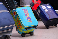 Минтранс оставит россиян без бесплатного багажа в самолетах